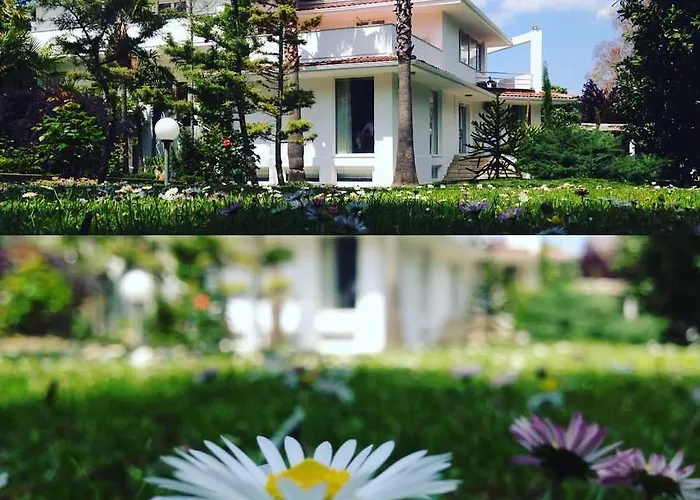 Vila 26
